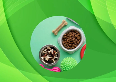 Produtos para Pet