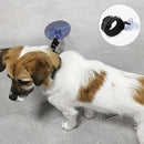 Pet Bath Fixation Strap with Suction Cup – Anti-Scratch Grooming Leash
