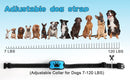 USB Rechargeable Anti-Barking Dog Training Collar – Ultrasonic & Vibration Bark Control Device