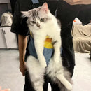 Outdoor Cat Carrier Backpack – Comfortable Travel & Walking Pet Bag