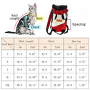 Outdoor Cat Carrier Backpack – Comfortable Travel & Walking Pet Bag