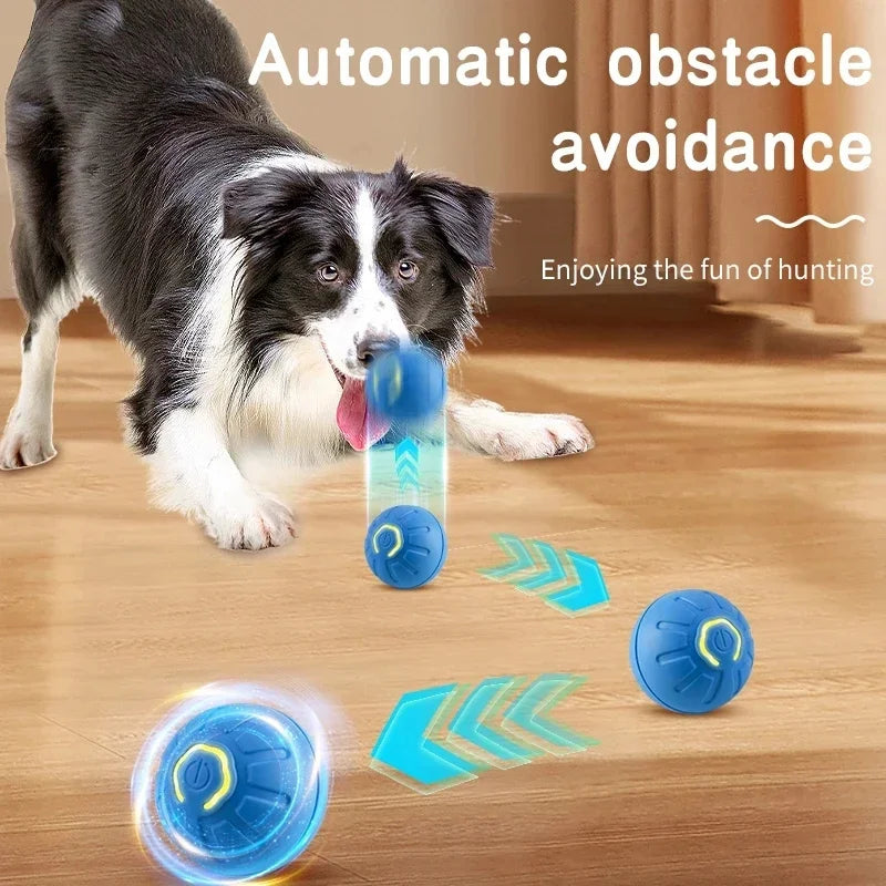 Smart Interactive Jumping Ball for Dogs & Cats | USB Rechargeable Automatic Moving Toy | Anti-Stress Pet Play Ball