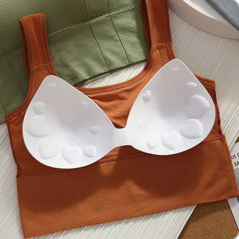Sutiã esportivo respirável anti-suor, top fitness feminino, sutiã de ioga sem costura, top curto à prova de choque, sutiã esportivo push up, top de treino de academia