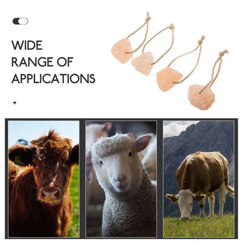 Pink Mineral Salt Lick Block – Natural Bathing and Chew Supplement for Horses, Rabbits, and Small Pets (6pcs Set)