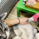 Cute Mini Shoes Charms – Cartoon DIY Accessories