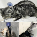 Pet Bath Fixation Strap with Suction Cup – Anti-Scratch Grooming Leash