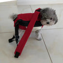 Outdoor Cat Carrier Backpack – Comfortable Travel & Walking Pet Bag